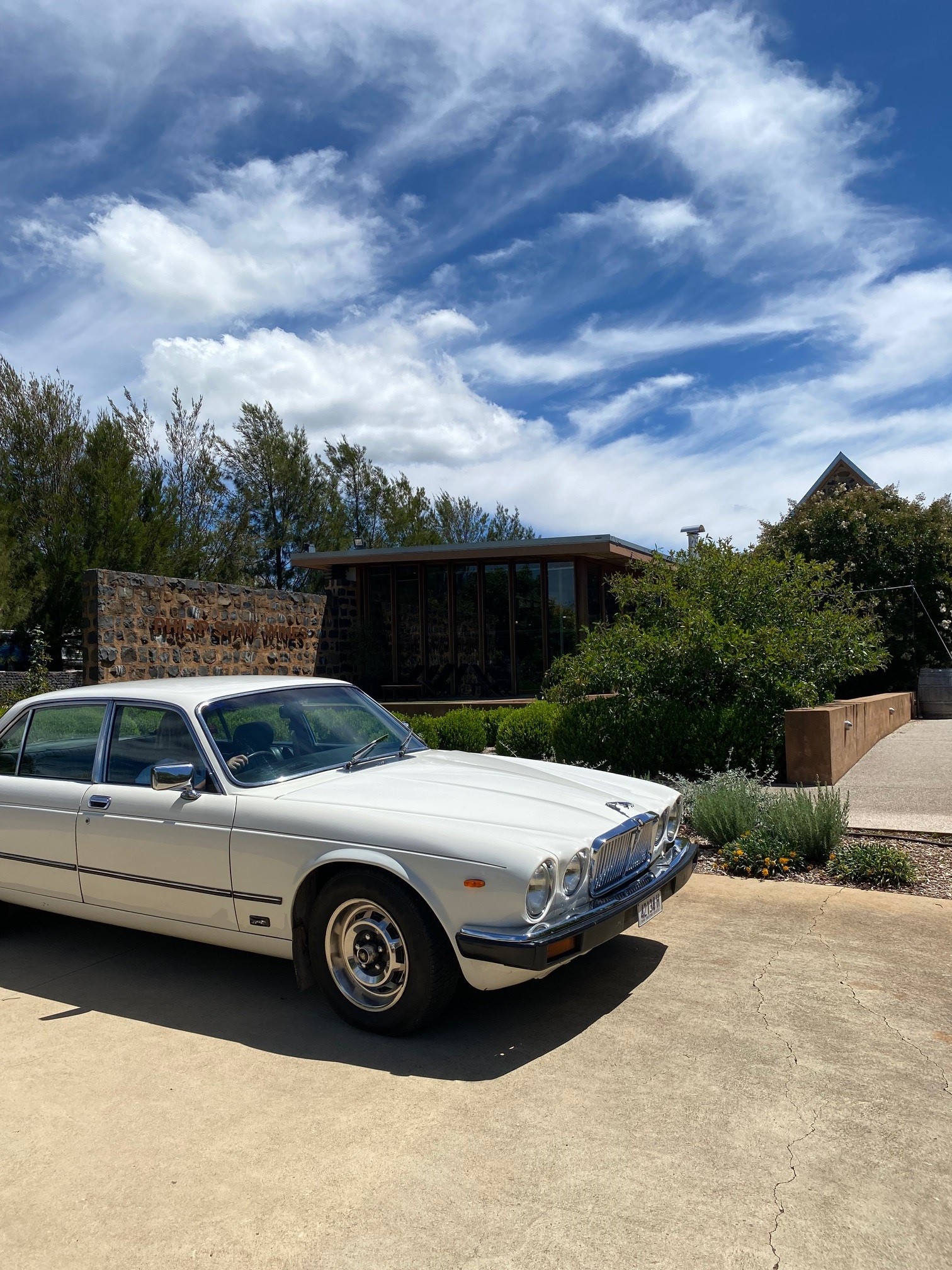 Philip shaw front with jag