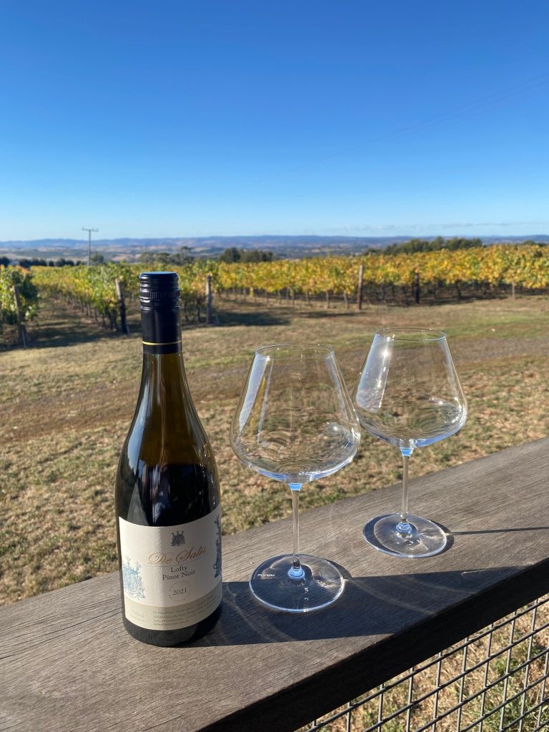 Wine Tours 2 de salis winery views